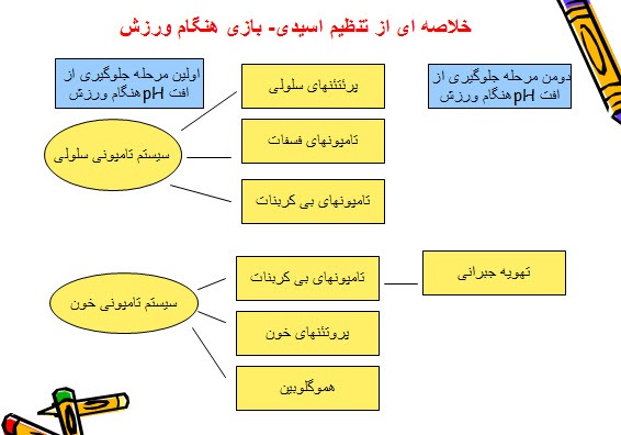 پاورپوینت تعادل اسیدی، بازی هنگام ورزش